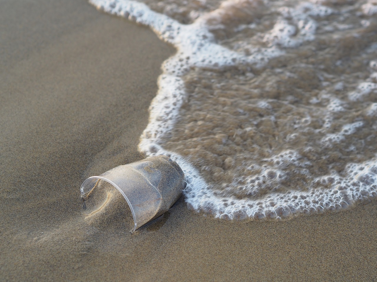 Plastic Cup half buried in the sand as the tide comes over it